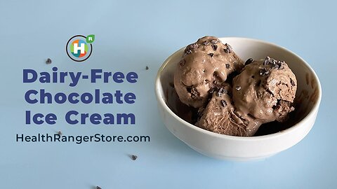 Dairy-Free Chocolate Ice Cream