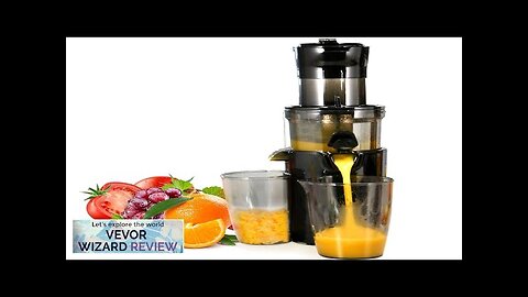 VEVOR Masticating Juicer Cold Press Juicer Machine 2.6" Large Feed Chute Slow Review