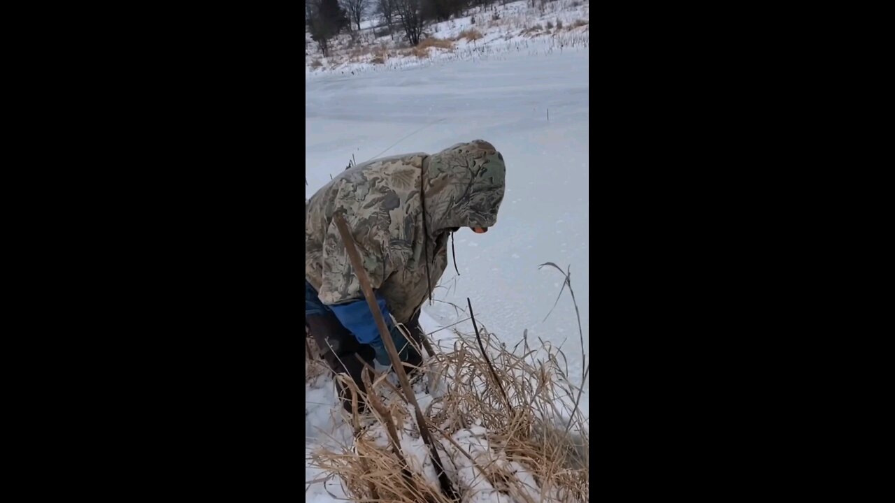 Backwoods otter #1 with bonus beaver#10... #ottertrapping, #trapping, #beavertrapping, #beaver