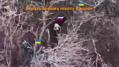 Russians Forced to Surrender After Being Suprised Inside Dugout by Ukrainian Soldiers