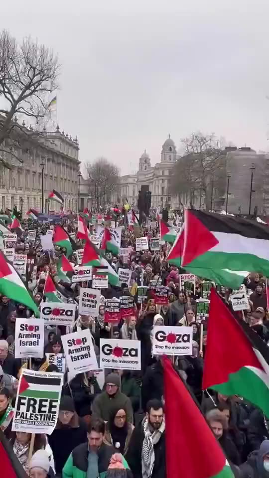 This is what Londonistan looked like today 👇🏻