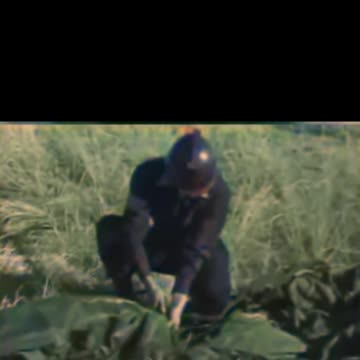 Allied deception tactics revealed #Colourized footage 🎥 🕵️‍♂️