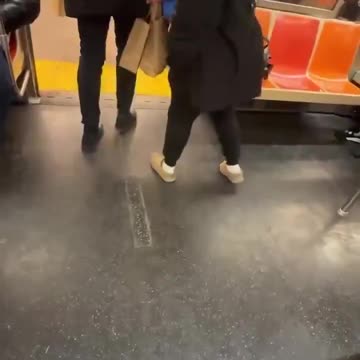 Another wild ride on the unpredictable New York Sh*tty subway.