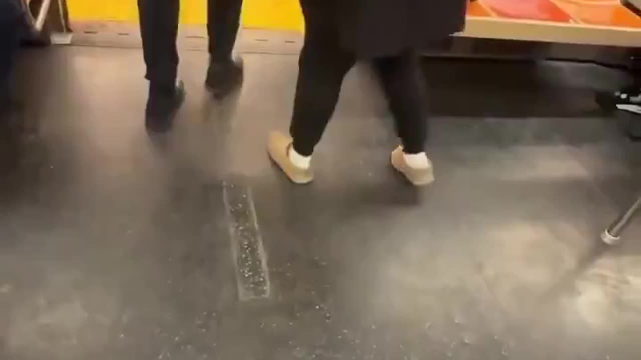 Another wild ride on the unpredictable New York Sh*tty subway.