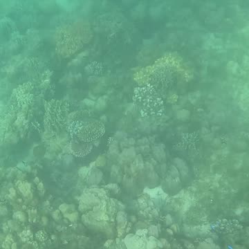 Snorkeling Morning!!