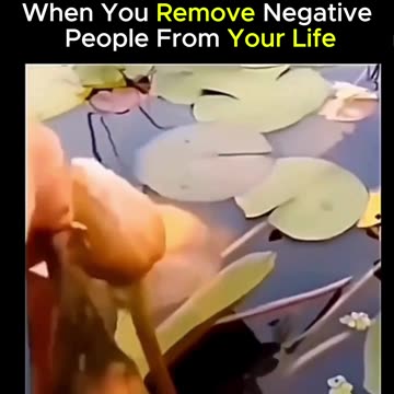 Who's in your circle? Are they building you or breaking you?🌱