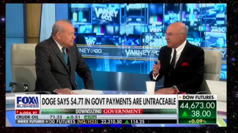 How Does KEVIN O'LEARY Rate DOGE on a Scale of 1 to 10⁇