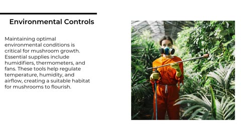 Essential Supplies for Successful Mushroom Cultivation: A Comprehensive Overview