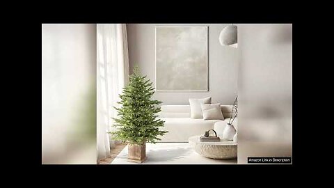 Jin&Bao 4FT Potted Christmas Tree with 100 Lights Artificial Christmas Tree Outdoor Review