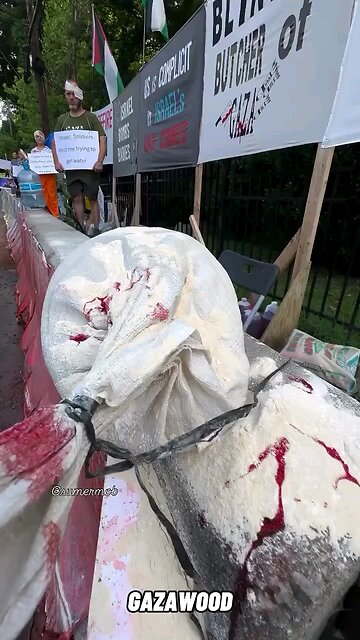 Corrections of misguided Terror supporters