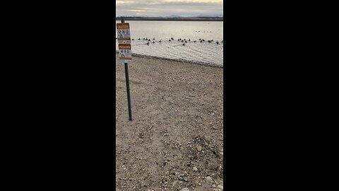 A Cold Lake Lowell Rockhunt!