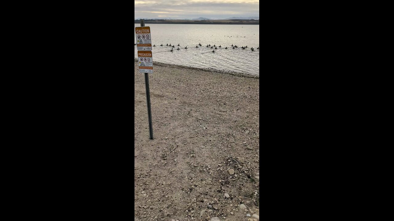 A Cold Lake Lowell Rockhunt!