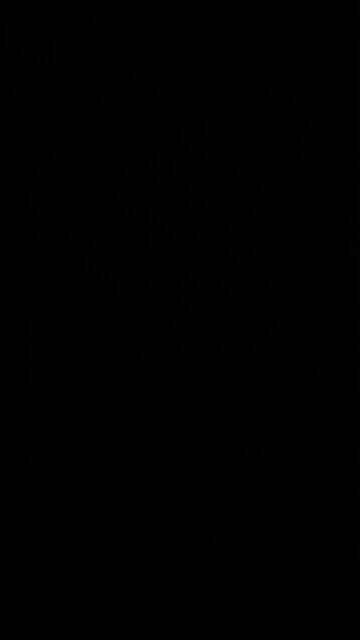 Frankfurter and beans