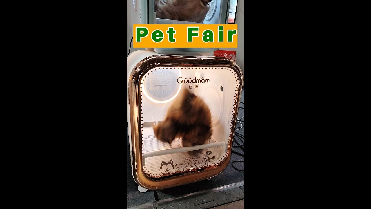 A scene seen at a pet show