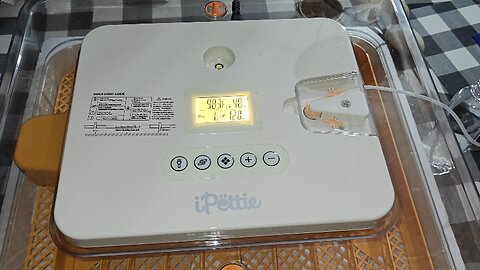 iPettie Nestasy ProHatch56 Egg Incubator