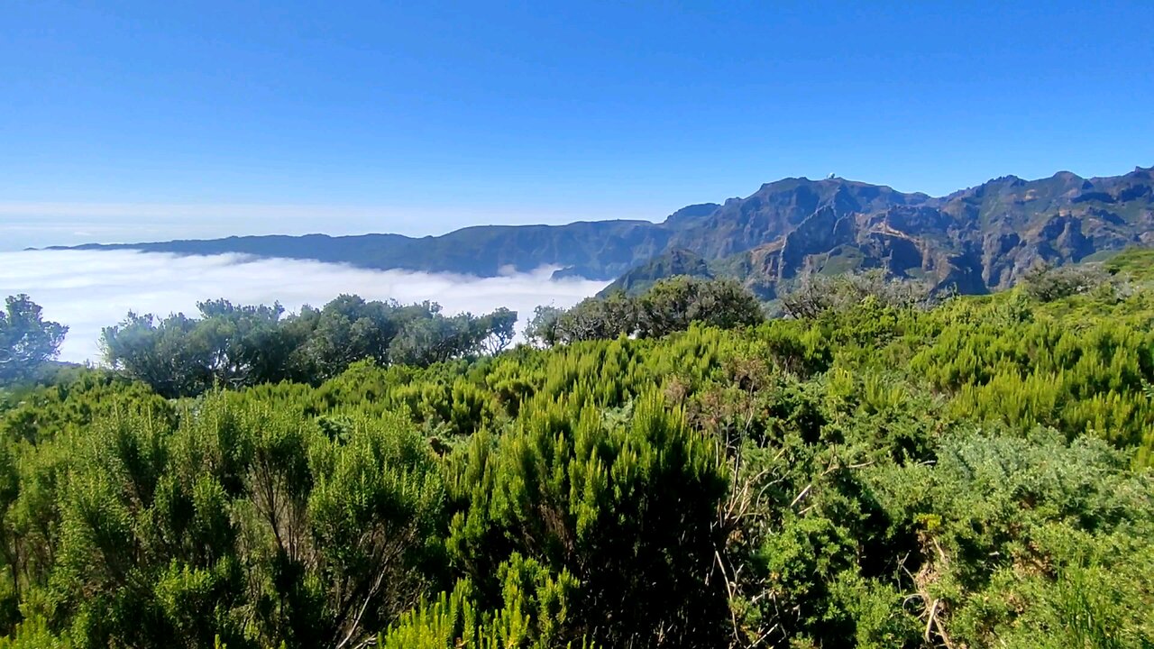 Achada do Teixeira 3 - Madeira PORTUGAL