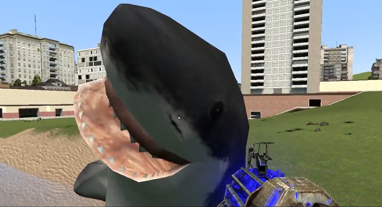 Shark Launching