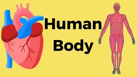 Body Mechanics Surprising Facts About How the Human Body Works #humanbody #humanbrain #science