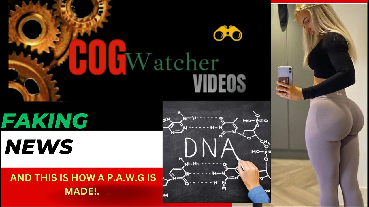 AND THIS IS HOW A P.A.W.G IS MADE!