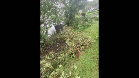 Fermin Tree Service LLC