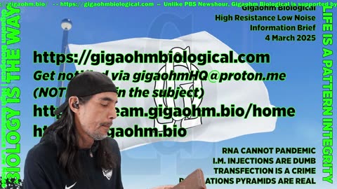 Gigaohm Biological High Resistance Low Noise Information Brief