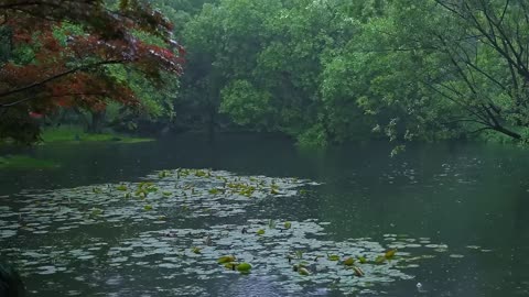 The beautiful little lake is raining