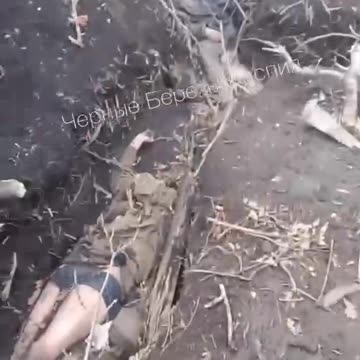 A captured fascist supporter with dead carcasses of crests and trophies