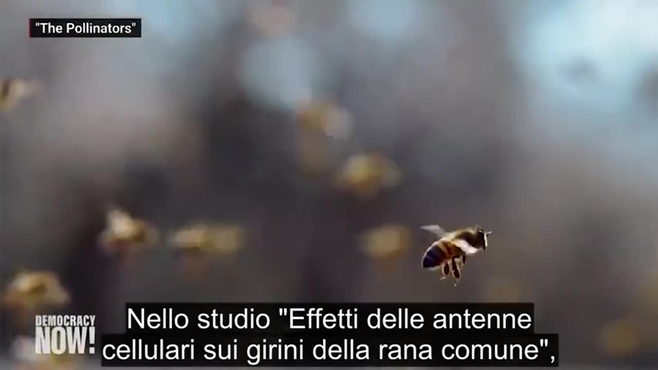 DERRICK BROZE - 5G Cavallo di Troia