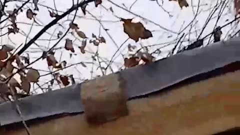 Frames filmed in the dugout of the Ukrainian Armed Forces