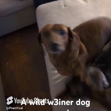 A wild Pokemon appears.. #pokemon