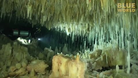 Mysterious Crystal Caves of Abaco - JONATHAN BIRDS BLUE WORLD