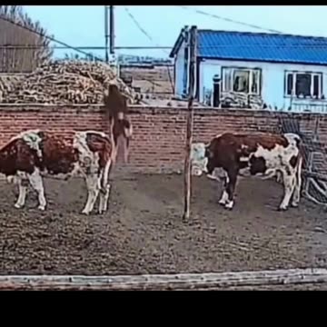 Have you ever felt like there was a barrier preventing you from achieving your dreams? 🤔✨