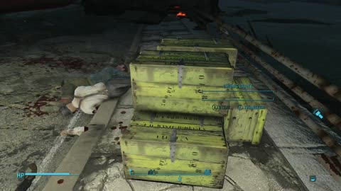 Fallout 4: Harlie 18