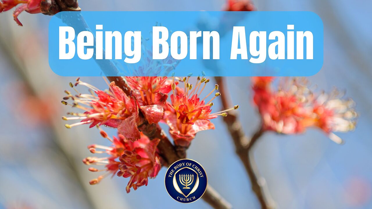 Being Born Again