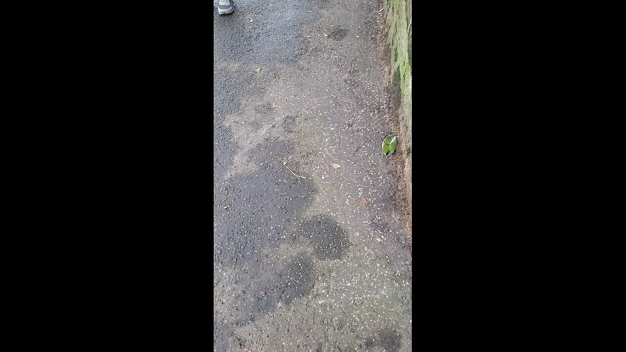 serco employee outside my house