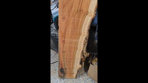 Helene storm cherry find