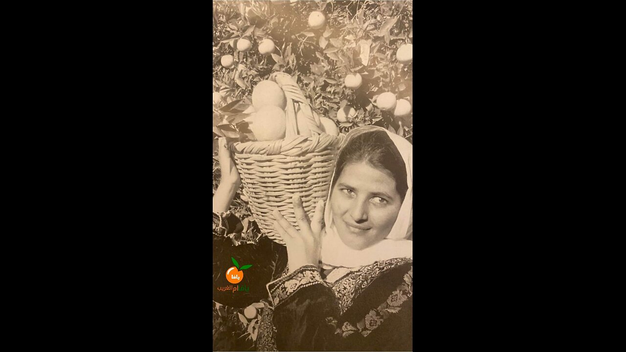 Jaffa oranges, for Palestinians, are a very strong symbol of their land as after 1948. ⏬