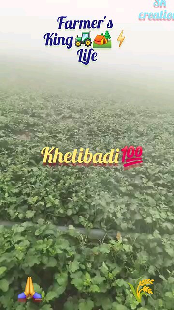 Farmer's life king status 2025|| sk creations || खेतीबाड़ी #kisankheti #farmer #kisan #kisan ||