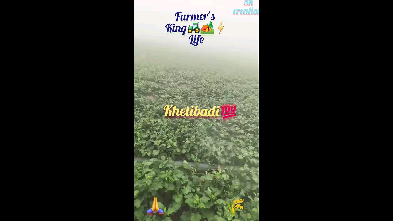 Farmer's life king status 2025|| sk creations || खेतीबाड़ी #kisankheti #farmer #kisan #kisan ||