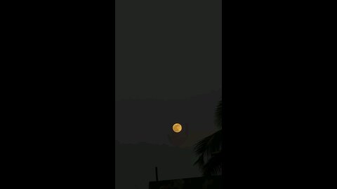 moonlight