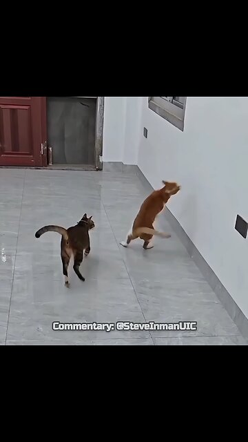 He was ready. His opponent was not.