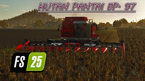 Harvesting Sunflowers. Oil Mill Delivery. Corn Harvest. |4k| HUTAN PANTAI EP. 97 | Farming Simulator 25