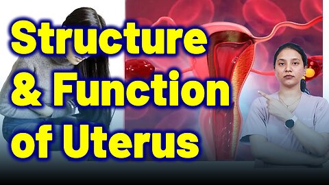 Function & Stucture of Uterus | Treatment Cure Medicine Surgery | Gynaecology Women | Homeopathy