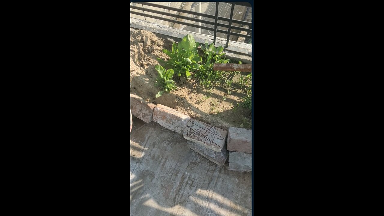 bagvani