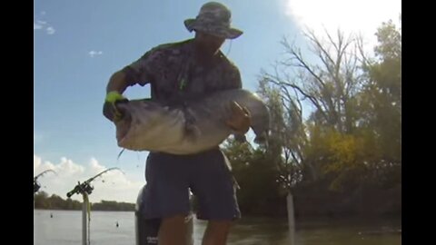 Big Missouri River Blue Catfish!