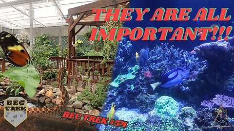 Why Are These Things IMPORTANT!!! | Butterfly Houser And Aquarium | BEC TREK Episode 54