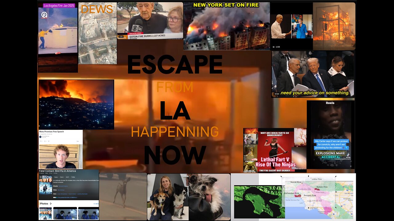 La Fires🔥& 🧊😠🙏 Data Zuck BS🙄,Trump & Obama lipsyncing at Carter's Funeral 😍Cats/Dogs🤣AI Mix 🎶Vids