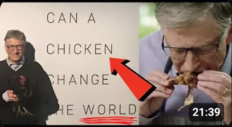 "CAN A CHICKEN CHANGE THE WORLD?" THEY'RE MAKING SURE THAT THERE IS NO ESCAPE FOR ANY OF US!