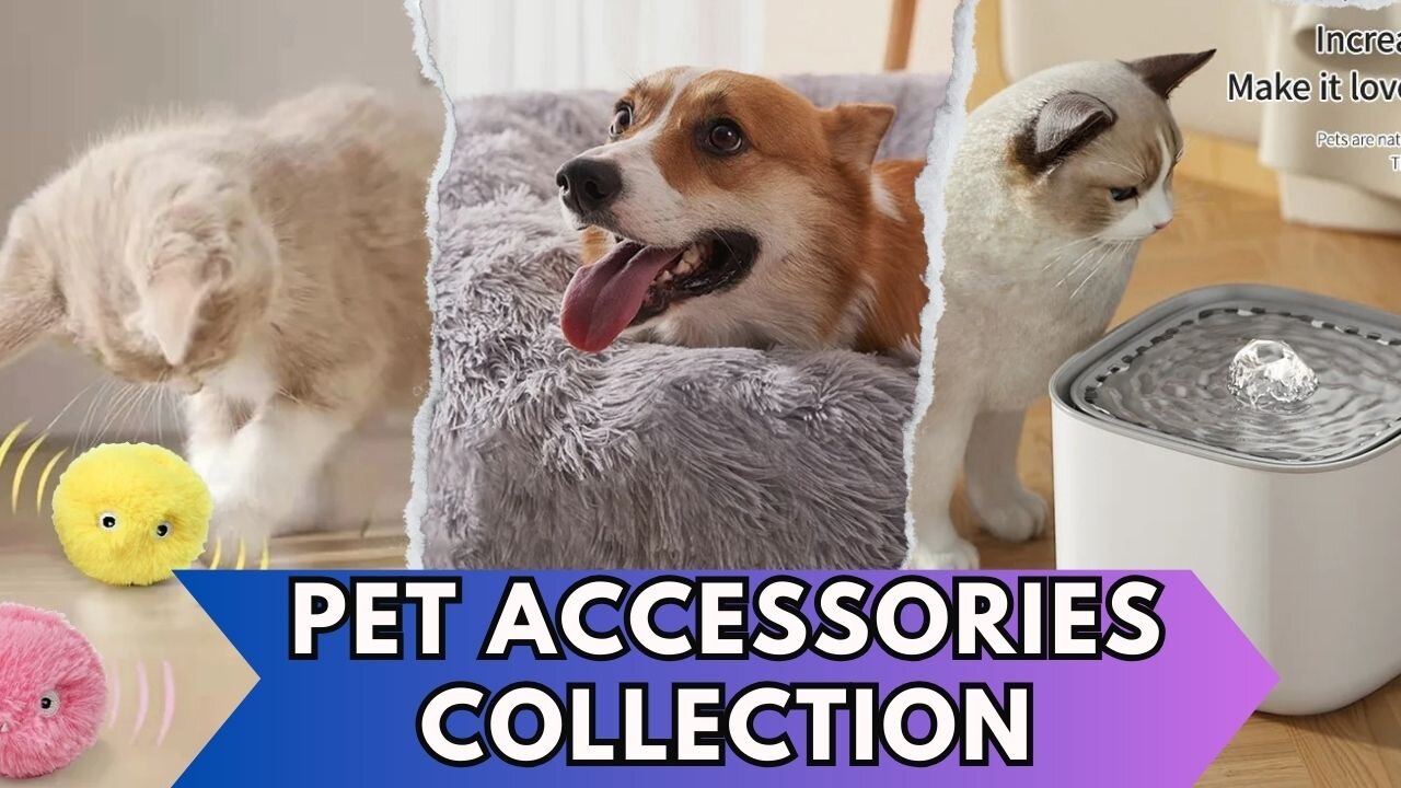 Pets Love These Accessories More Than TREATS!