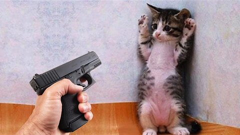 Most Funny Animal Fails 2025 😂 | Try Not to Laugh! Cats & Dogs Edition 🐶🐱